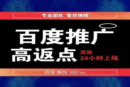 SEM运营推广策略：成功案例解析
